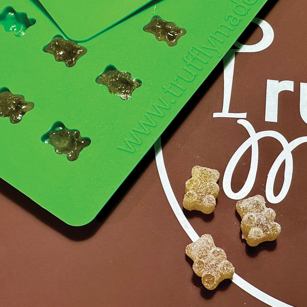Bear 80