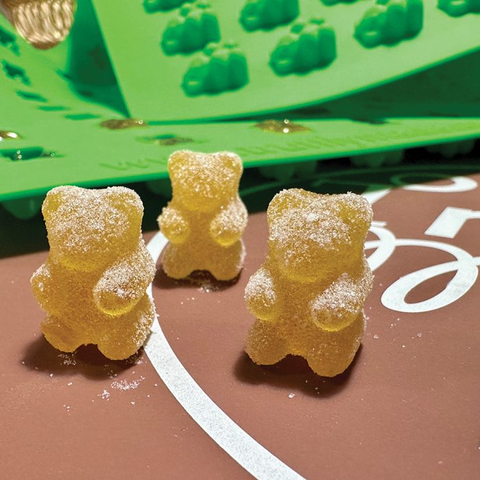 Bear 80 Mold - Image 5