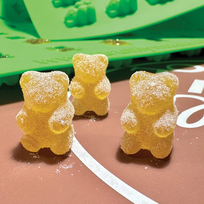 Bear 80 Mold - Image 2